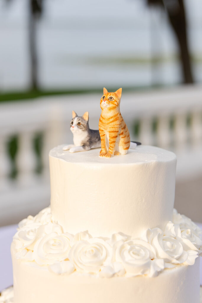 white wedding cake with cat cake topper at a wedding reception at Bella Cosa Lakeside in Lake Wales Florida