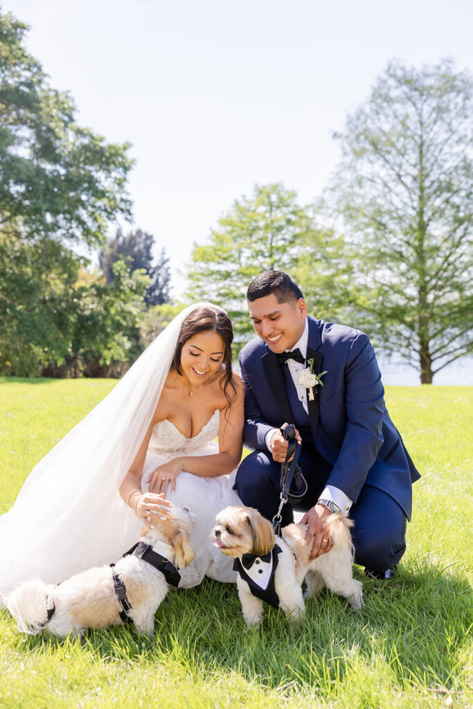 bride and groom with puppies dressed in tuxedos at a spring wedding at Lake Mary Events Center, captured by Snapshots by Gabriela